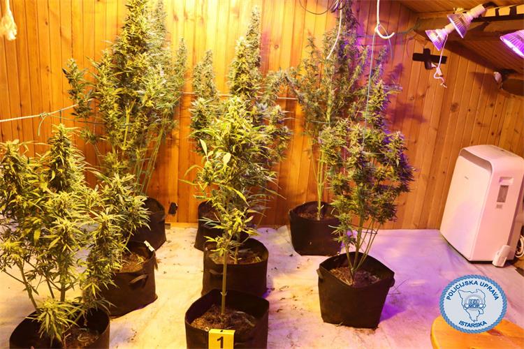 Slika /2024/droga Poreč svibanj.jpg